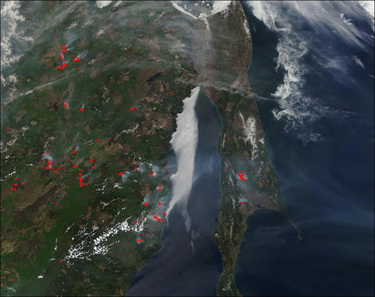 Fires in Eastern Russia and Sakhalin Island