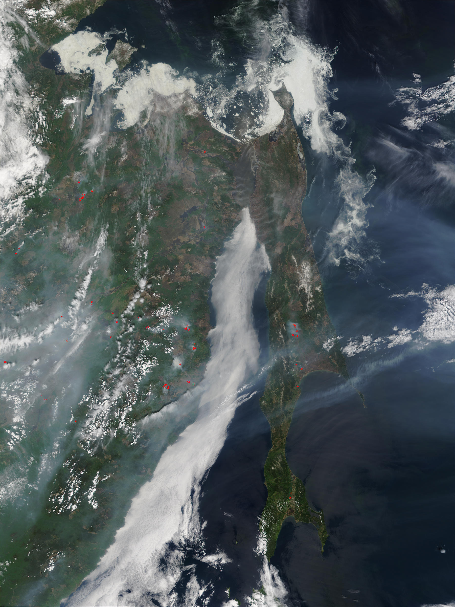 Fires in Eastern Russia and Sakhalin Island - related image preview