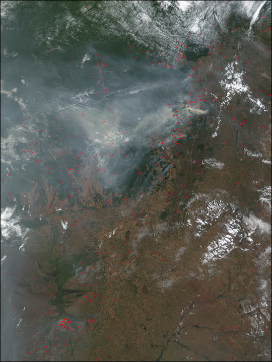 Fires and Deforestation in Brazil