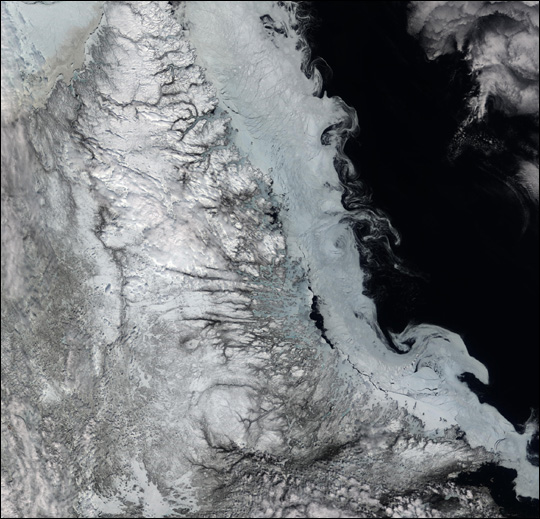 Ice Floes off Labrador