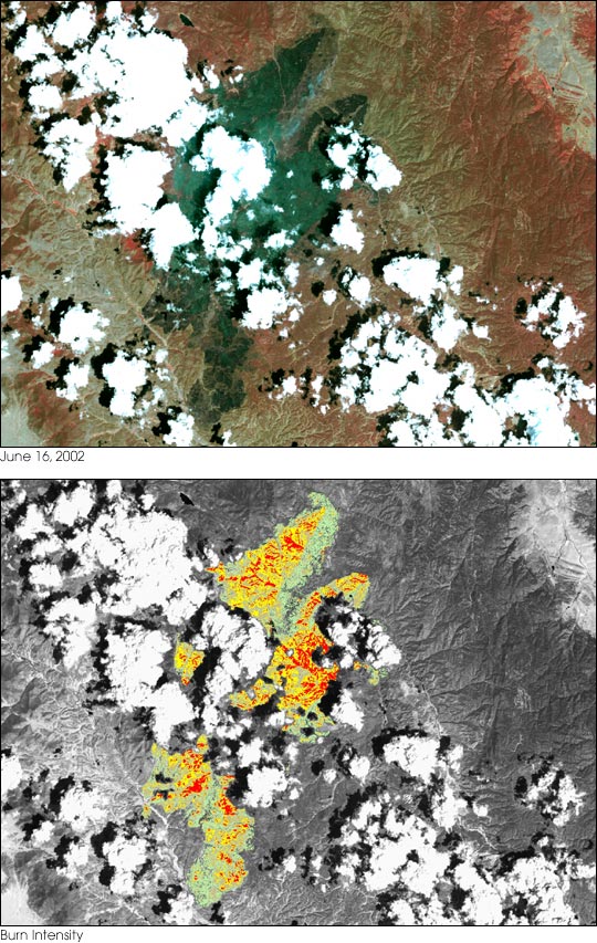 Rocky Mountain Fires