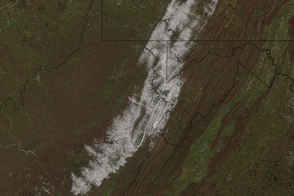 Spring Snow in the Appalachians