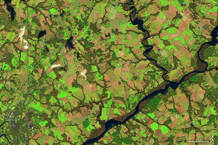 Satellites Eye Winter Cover Crops - related image preview