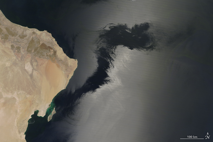 Sunglint on the Arabian Sea - related image preview