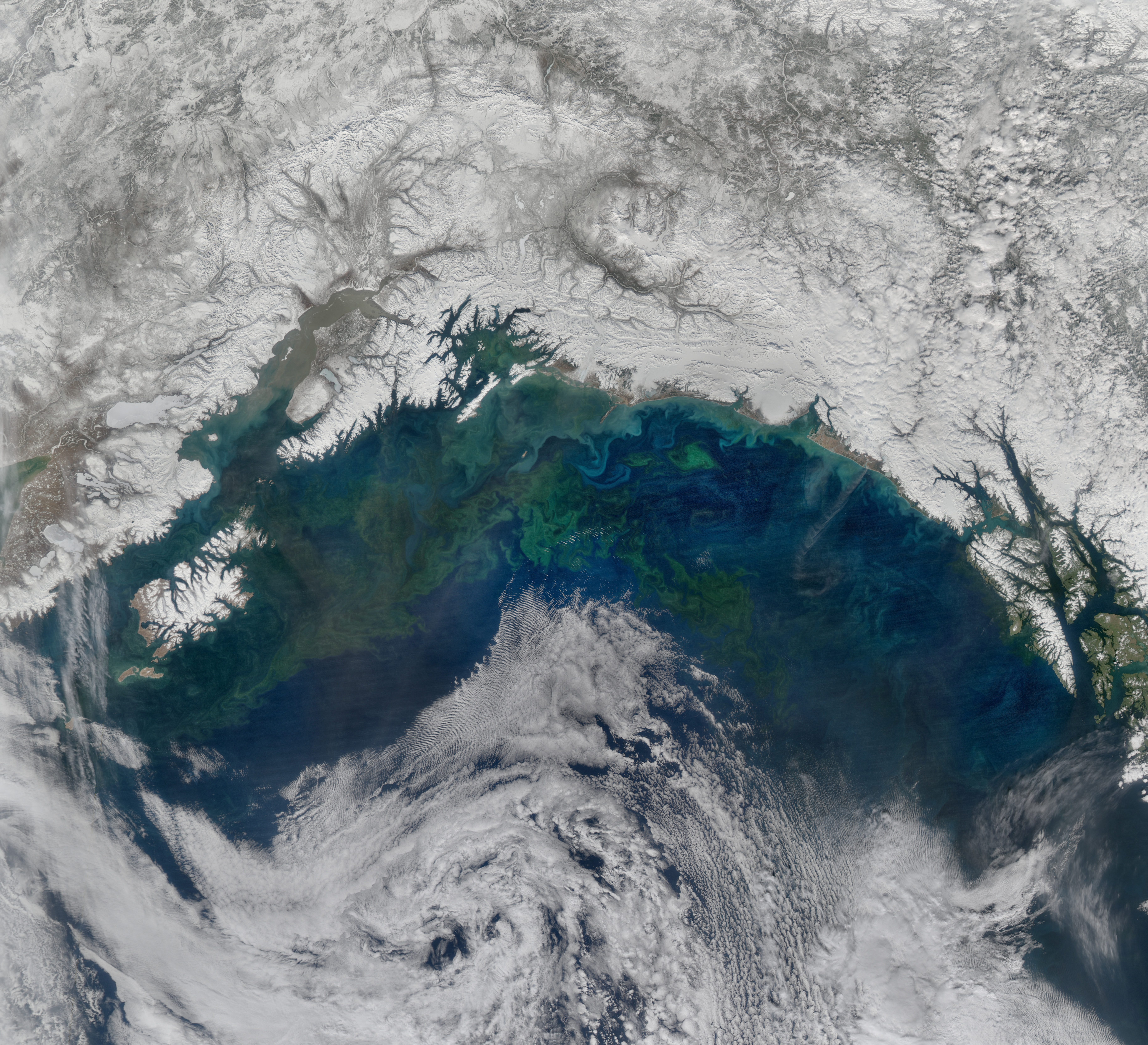 A Spring Bloom in the Gulf of Alaska - related image preview