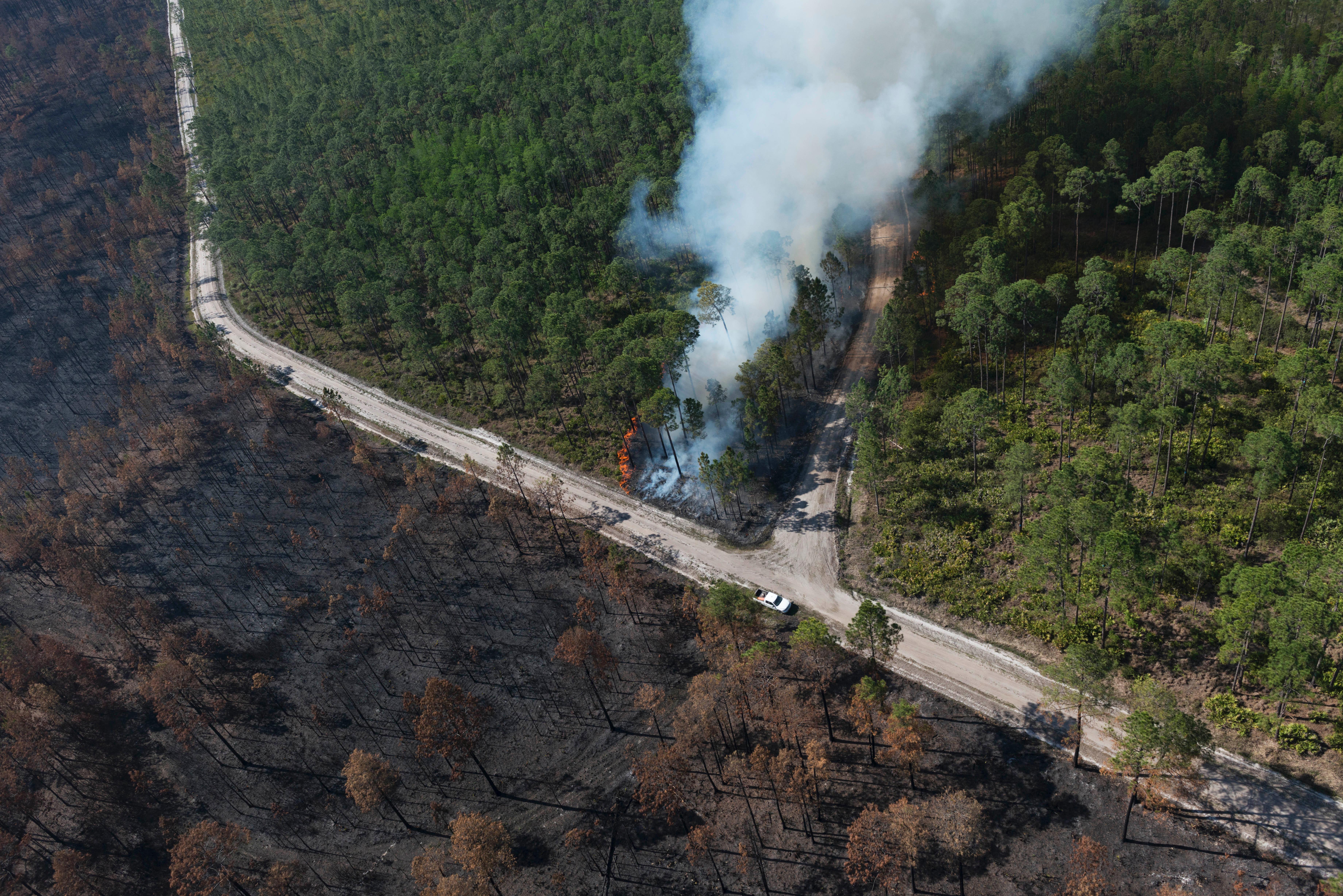 Fire Scars the Okefenokee - related image preview