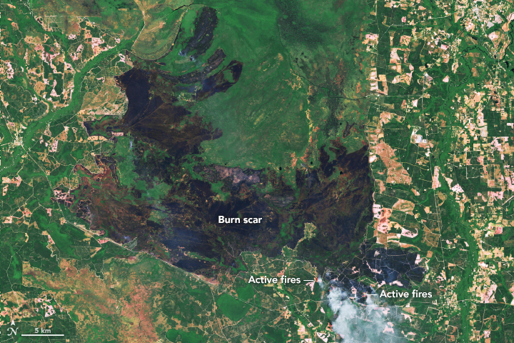 Fire Scars the Okefenokee
