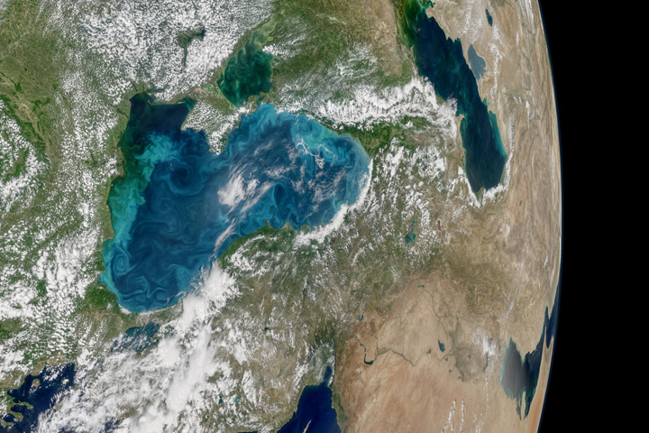 Turquoise Swirls in the Black Sea - related image preview