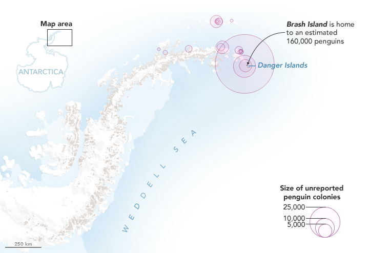 Penguin Droppings Are  Fertile Ground for Science - related image preview