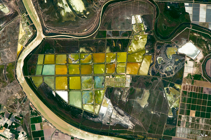Fish Ponds and Rice Fields, Lower Guadalquivir River - related image preview