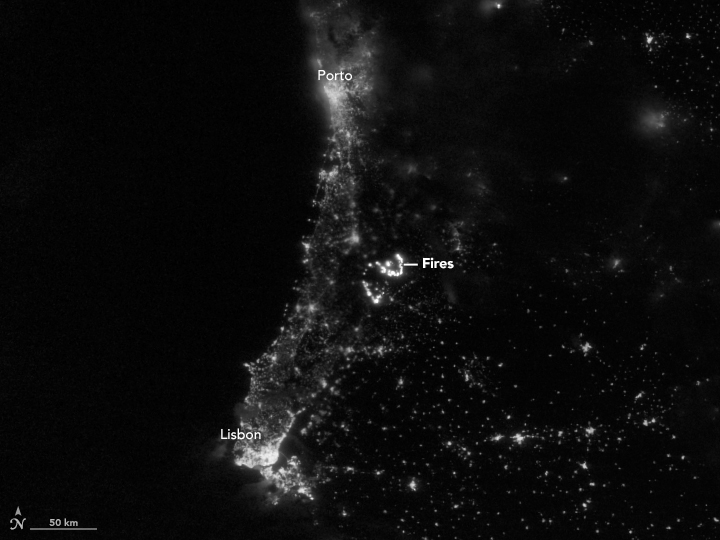 Wildfires Light Up Portugal  - related image preview