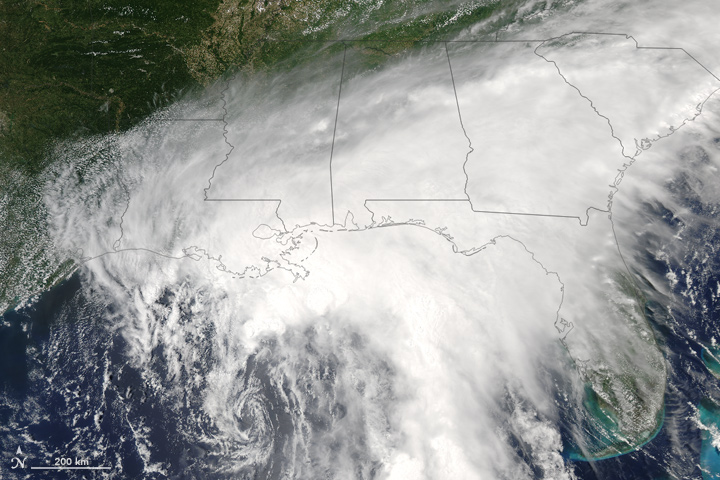 Tropical Storm Cindy Nears the Gulf Coast