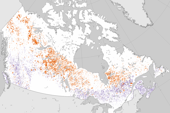 Tracking Forest Change in Canada - selected child image