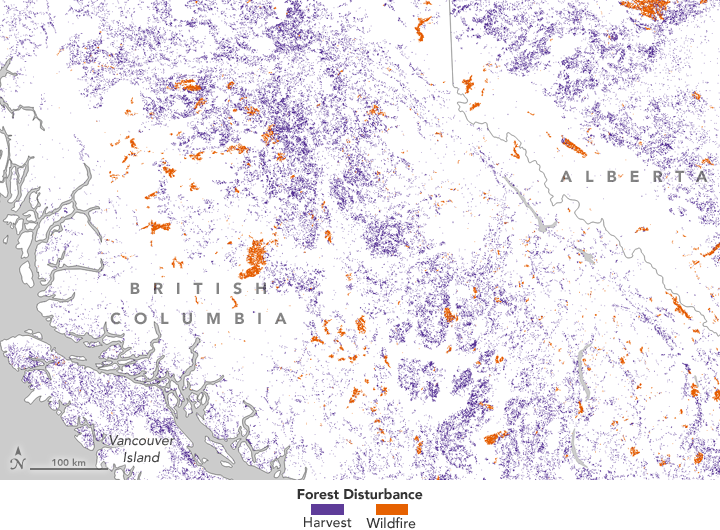 Tracking Forest Change in Canada - related image preview