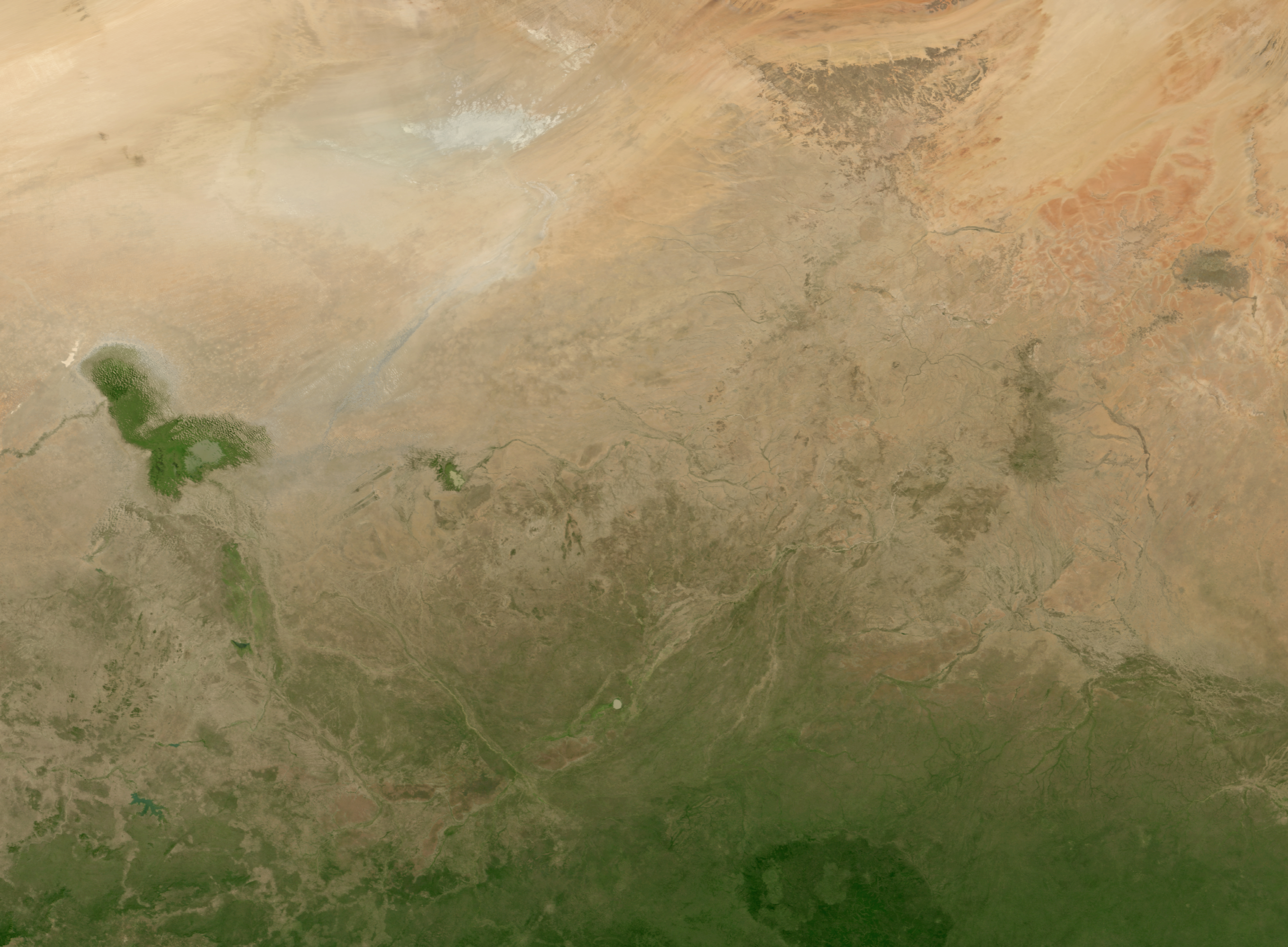 Measuring the Earth’s Dry Forests - related image preview