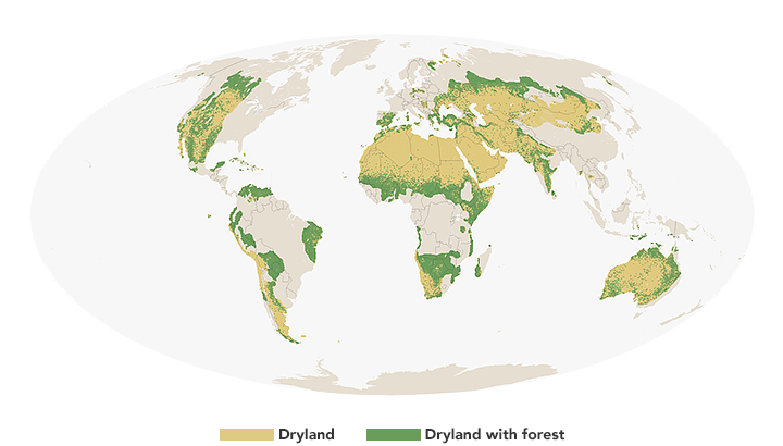 Measuring the Earth’s Dry Forests - related image preview