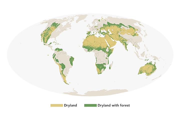 Measuring the Earth’s Dry Forests - related image preview