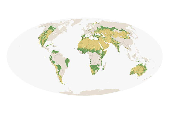 Measuring the Earth’s Dry Forests