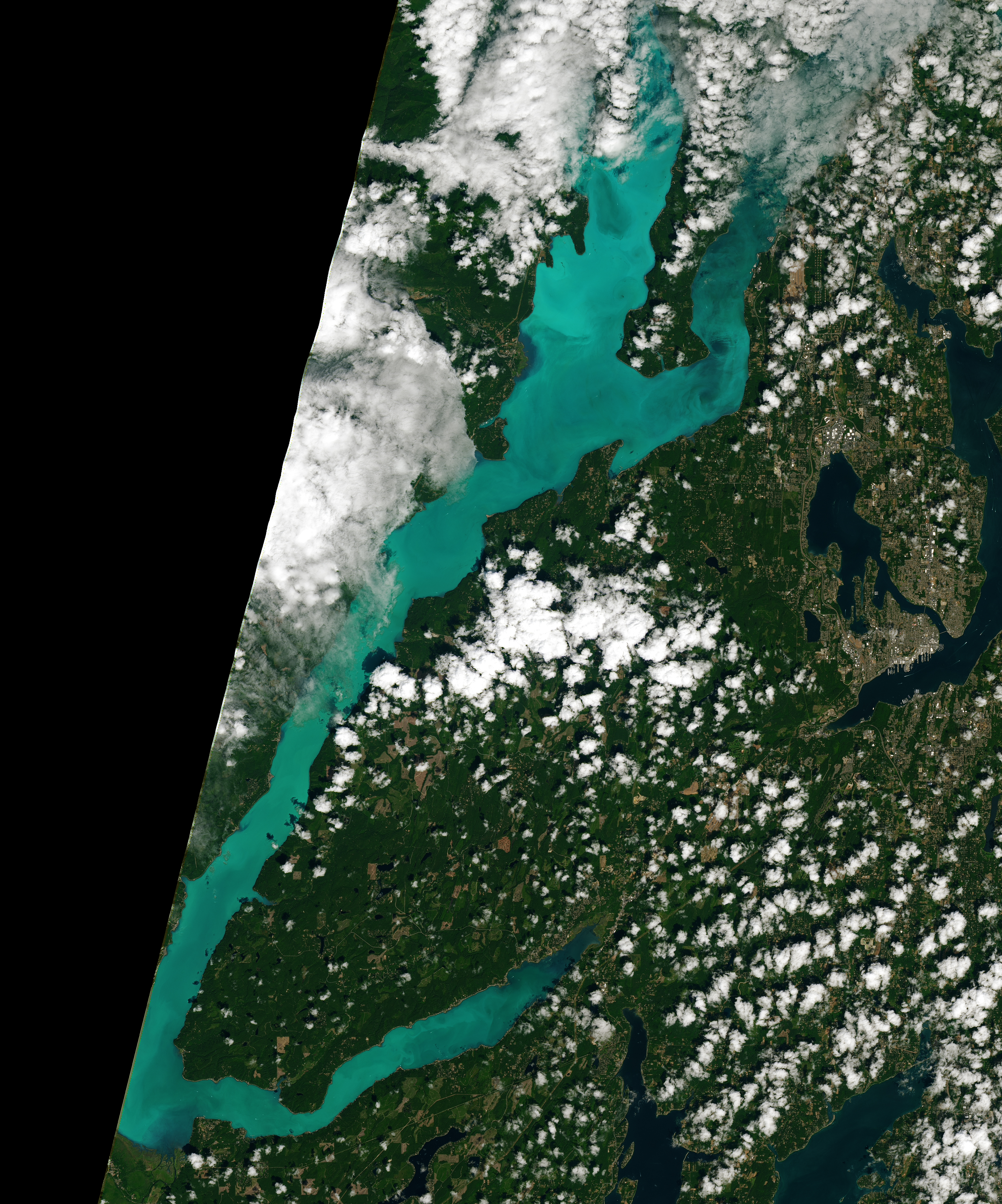 Plankton Abloom in Washington’s Hood Canal - related image preview