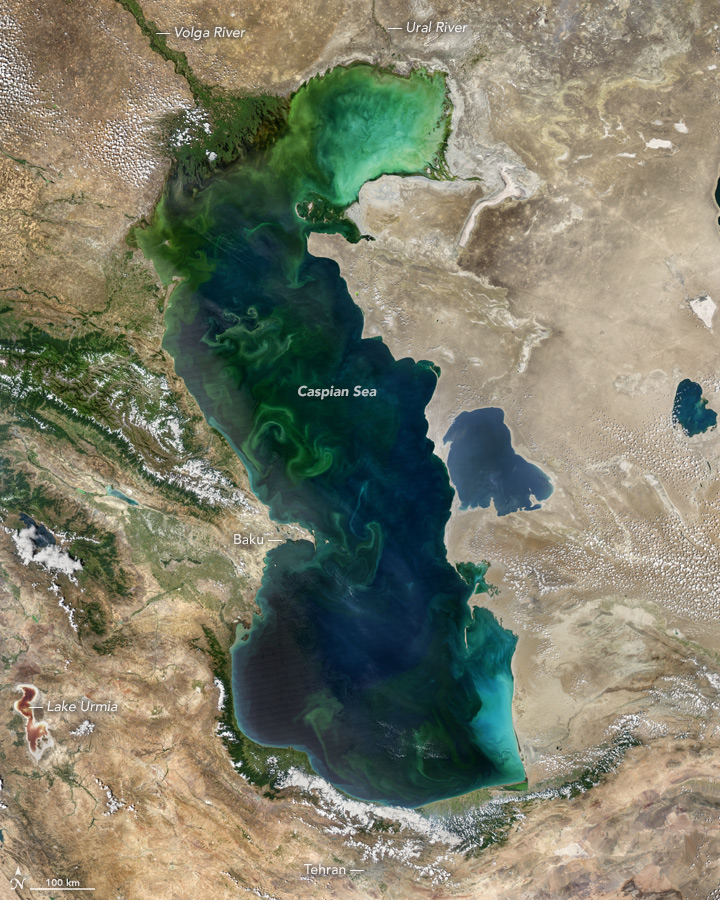 Blooms in the Caspian Sea - related image preview