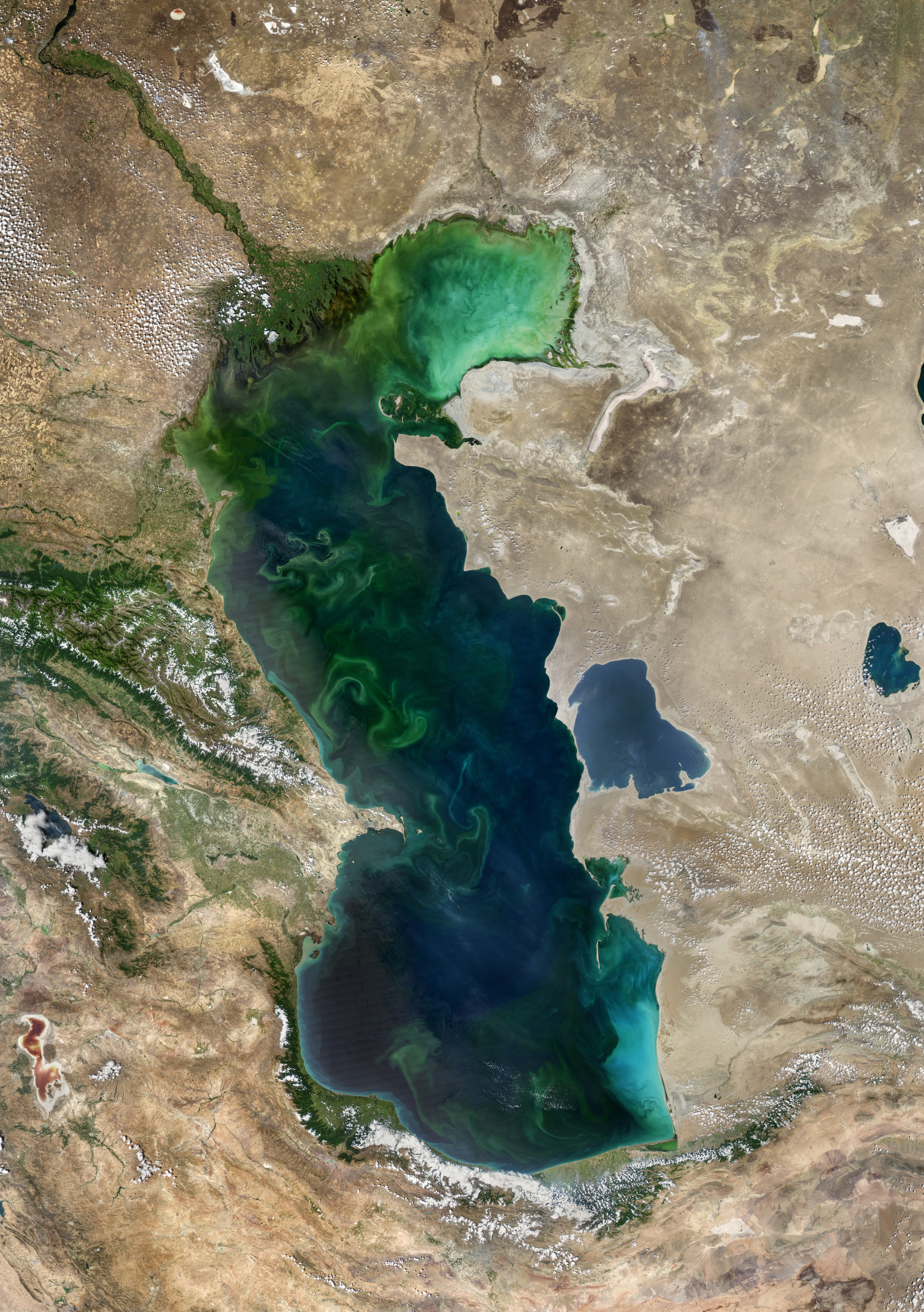 Blooms in the Caspian Sea - related image preview