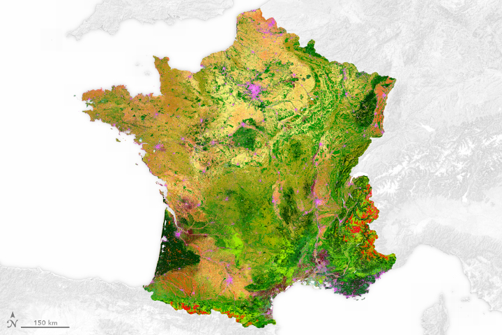 Land Cover Map of France