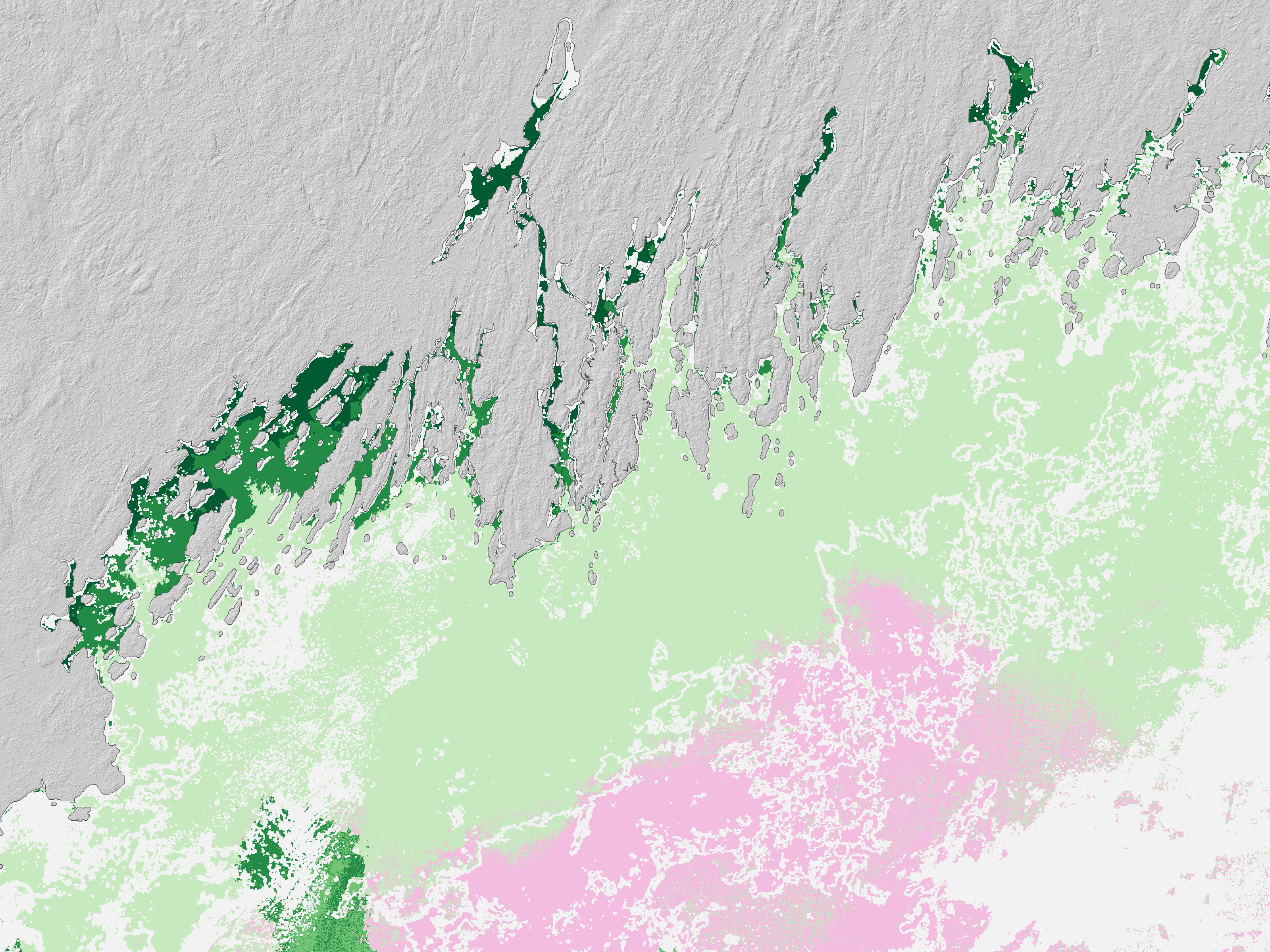 Oyster Prospecting With Landsat 8 - related image preview