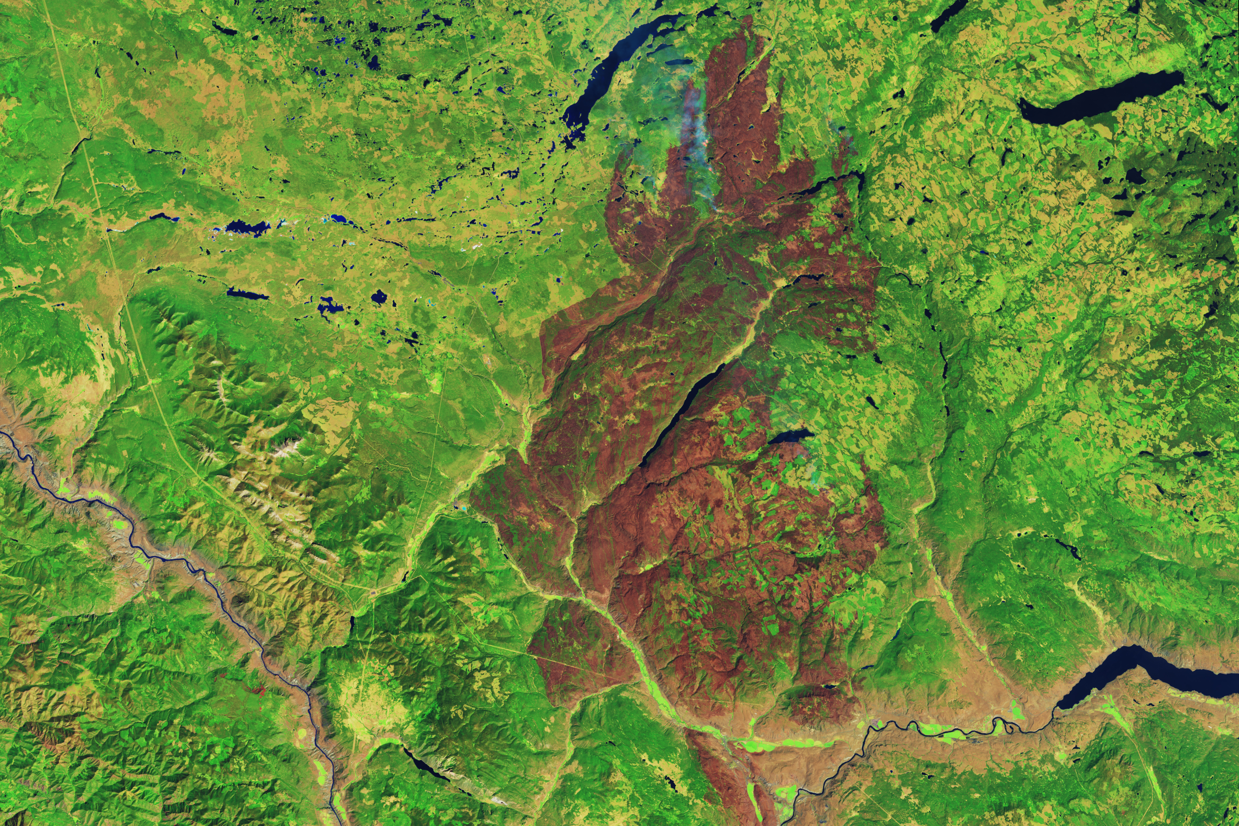 Elephant Hill Fire Chars Forest in British Columbia - related image preview