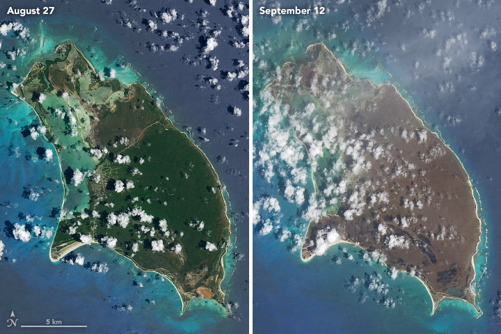 Barbuda and Saint Barthélemy Browned by Irma