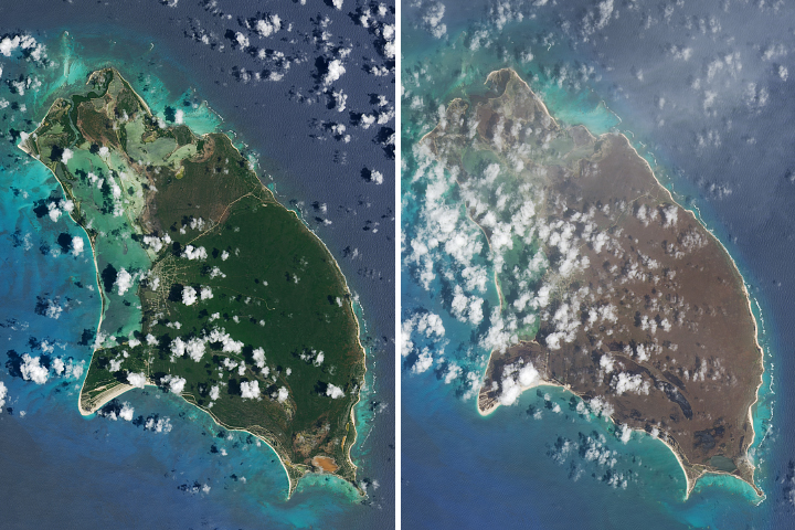 Barbuda and Saint Barthélemy Browned by Irma