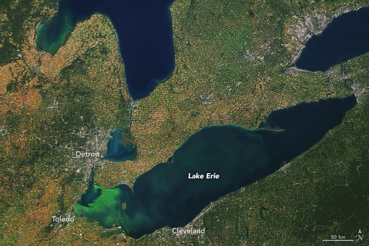 Bloom Persists in Lake Erie