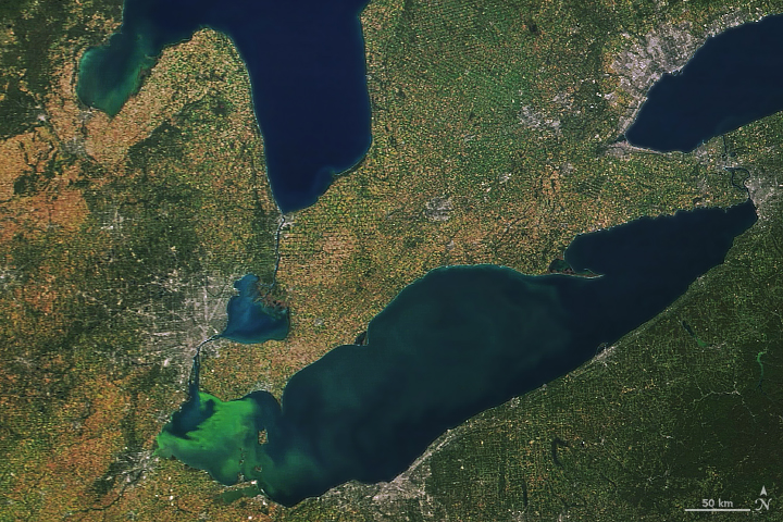 Bloom Persists in Lake Erie - related image preview