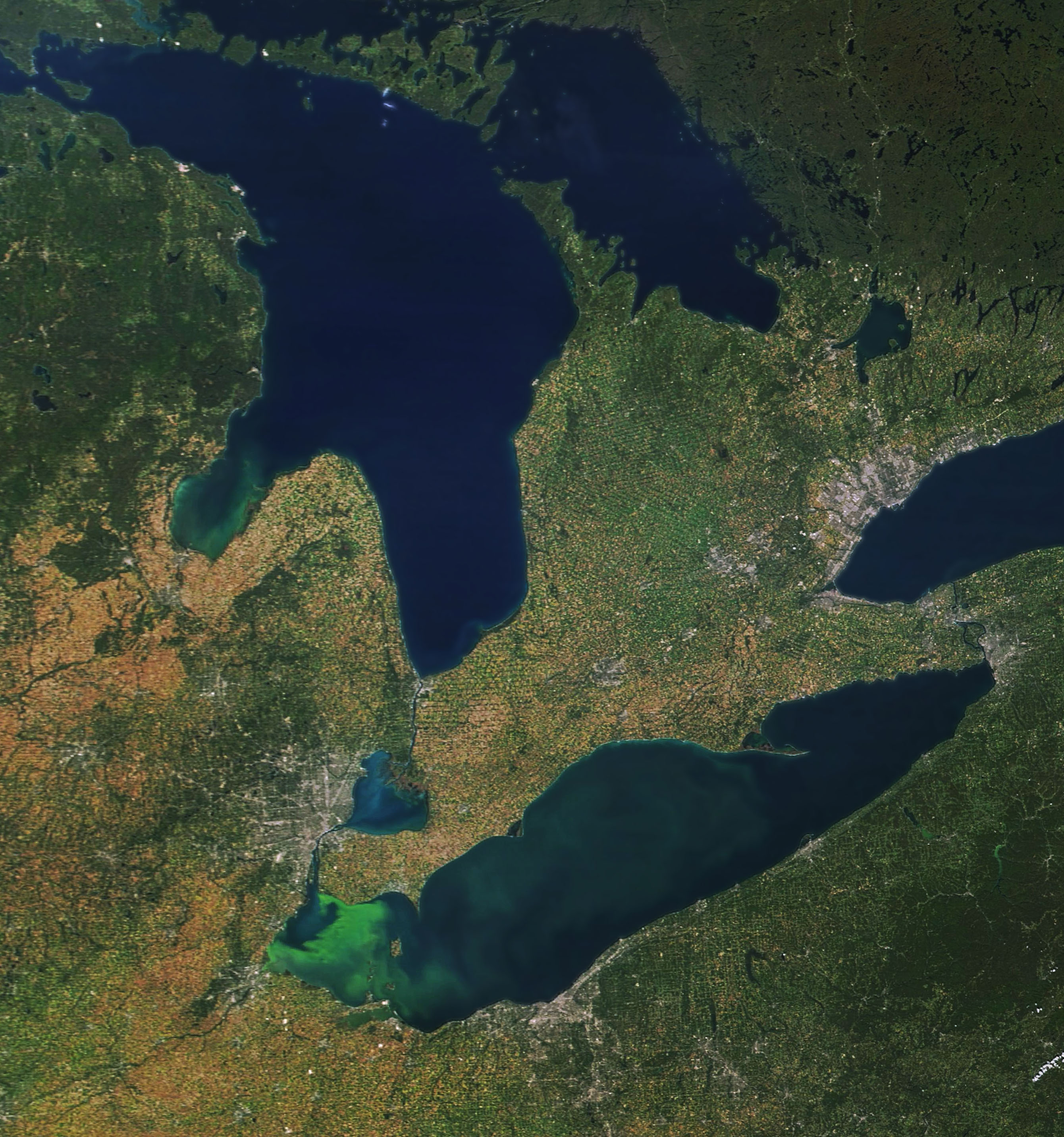 Bloom Persists in Lake Erie - related image preview
