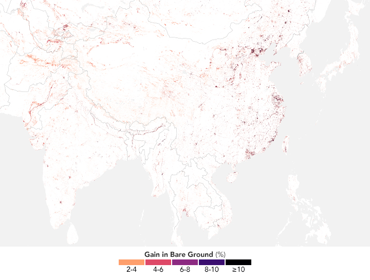 The Global Spread of Bare Ground