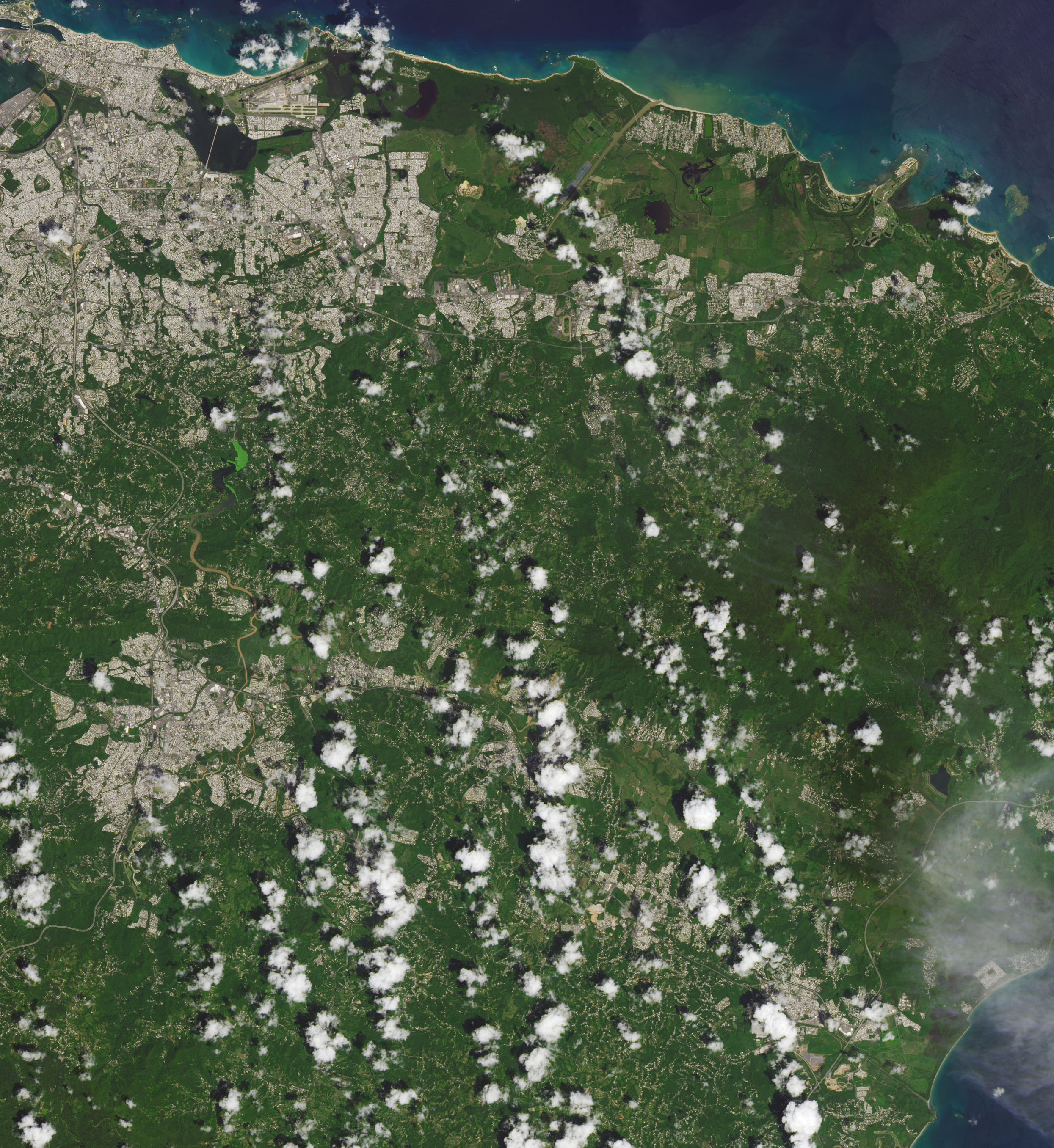 Puerto Rico Landscape Ravaged by Hurricane Maria - related image preview