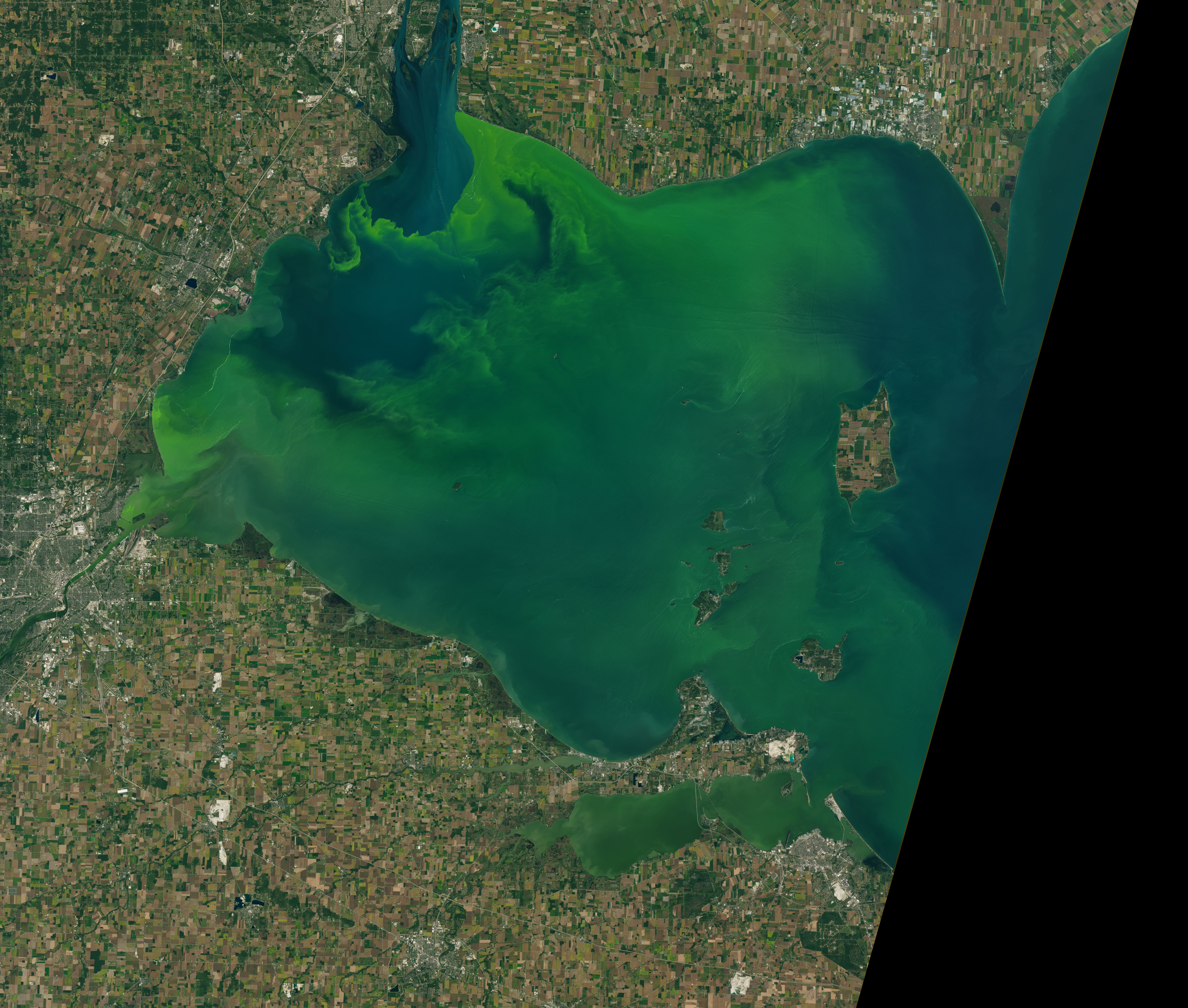 Lake Erie Abloom - related image preview