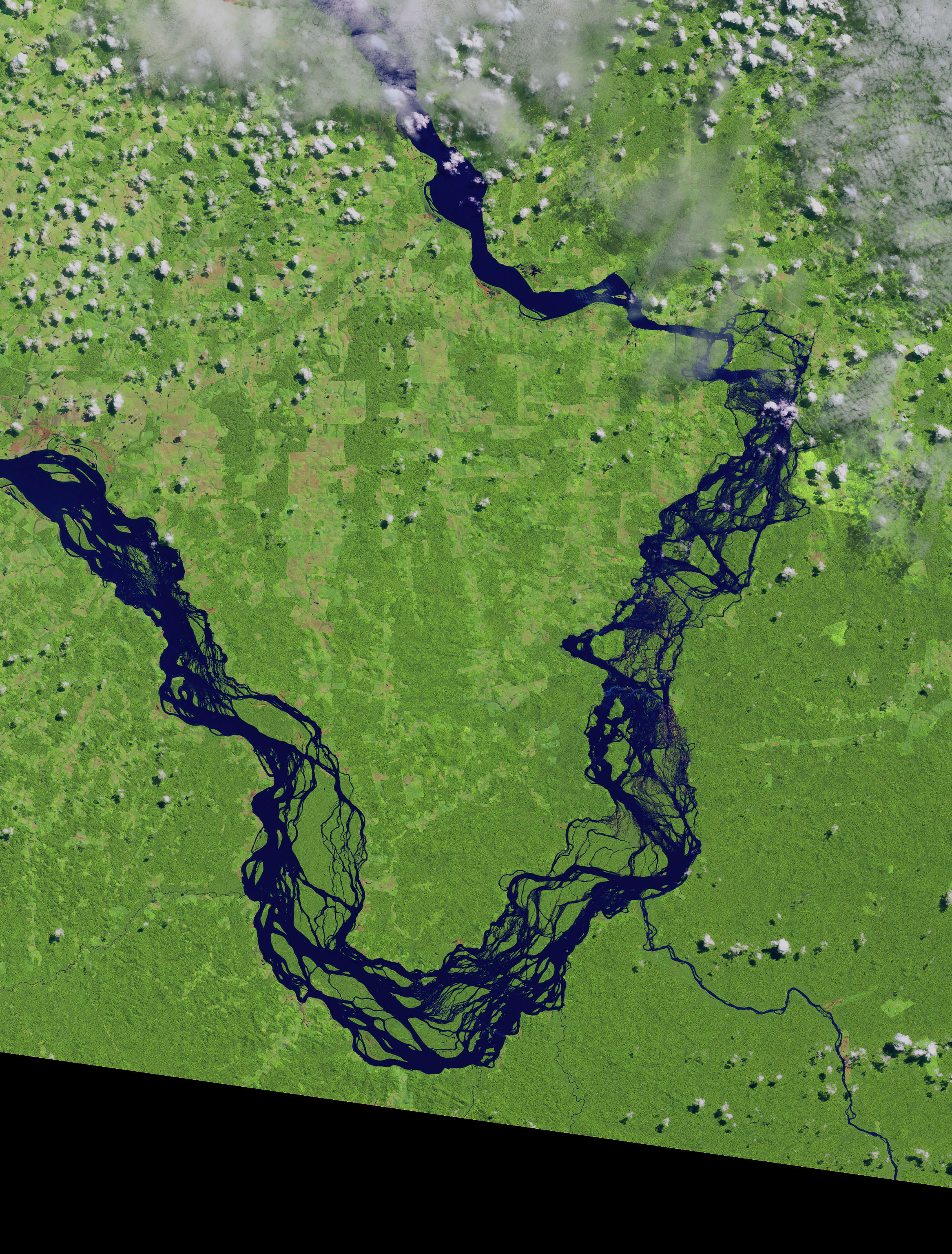 Reshaping the Xingu River - related image preview