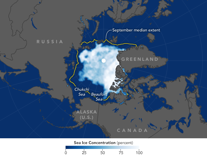 A Regional Look at Arctic Sea Ice