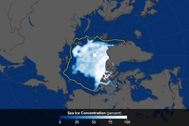 A Regional Look at Arctic Sea Ice - related image preview