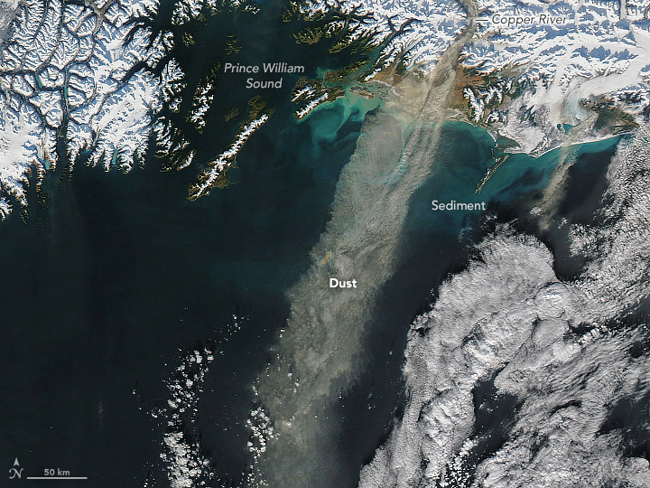 Connecting the Dots Between Dust, Phytoplankton, and Ice Cores - related image preview
