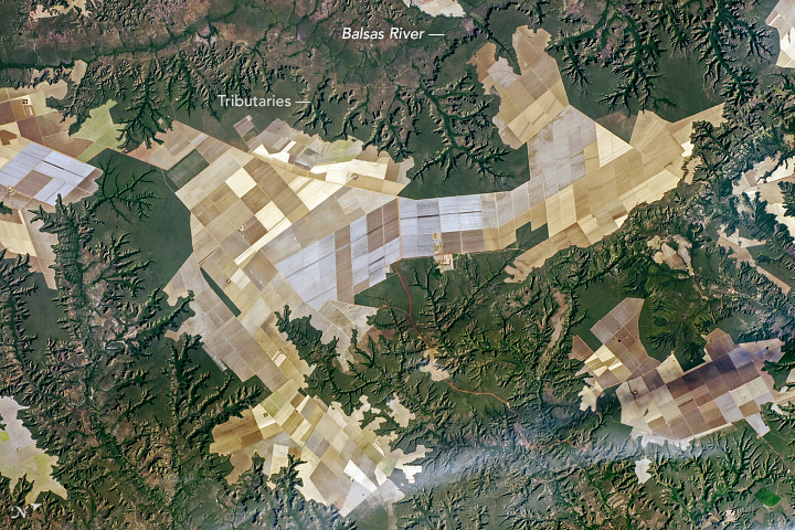 Agricultural Fields and Flat Lands, Brazil