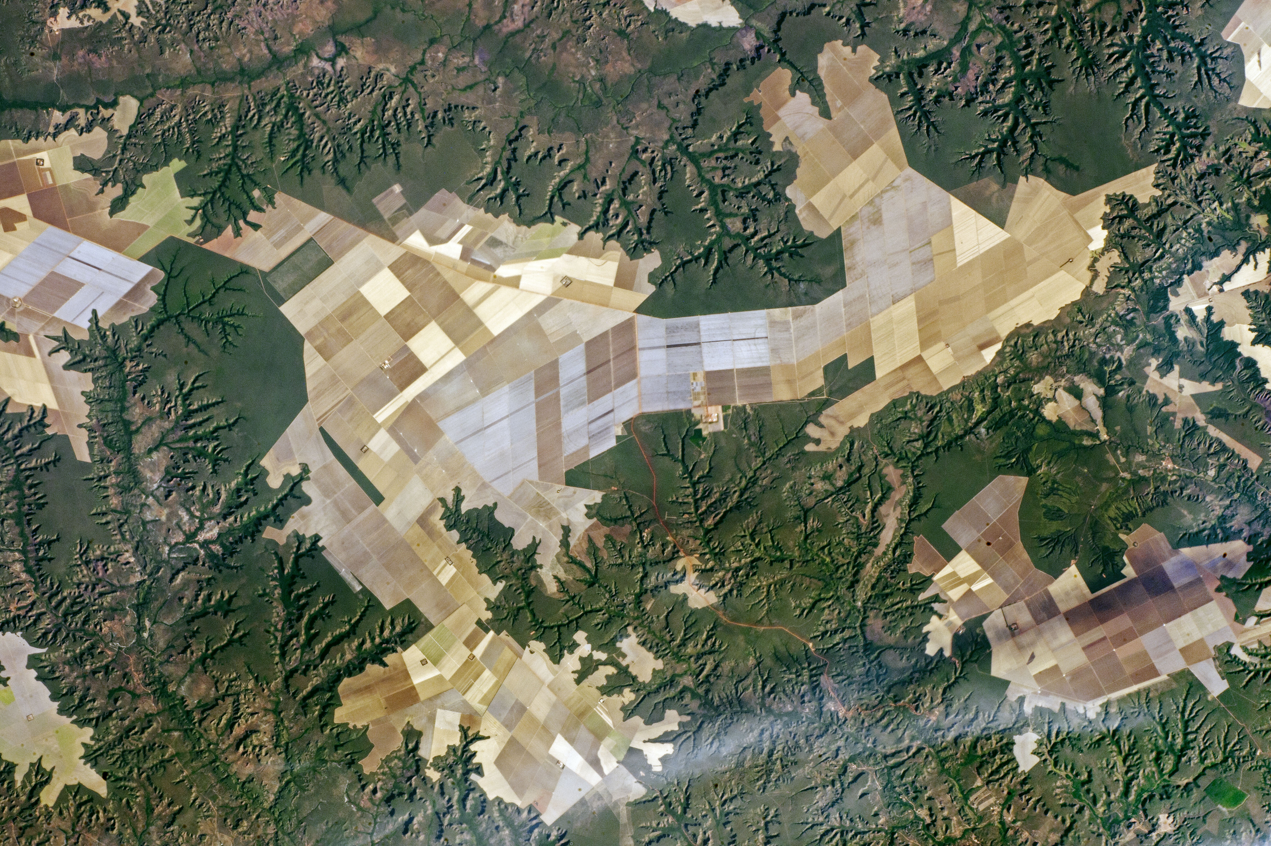 Agricultural Fields and Flat Lands, Brazil - related image preview