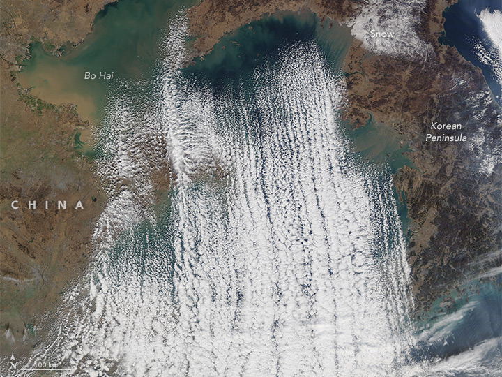 Cloud Streets Over the Yellow Sea