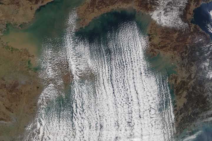 Cloud Streets Over the Yellow Sea