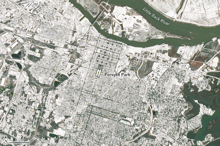 Snow in Savannah - related image preview