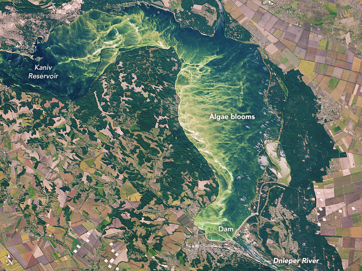 Agriculture Marks the Landscape in Central Ukraine