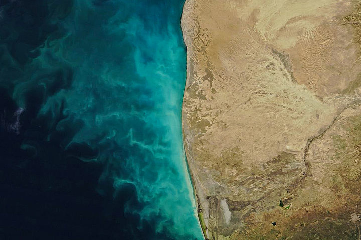 Tendrils of Sediment in the Caspian Sea