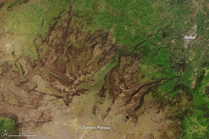 Ethiopia’s Sanetti Plateau