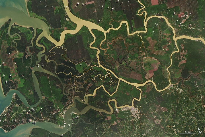 Sarawak’s Rajang River Delta - related image preview