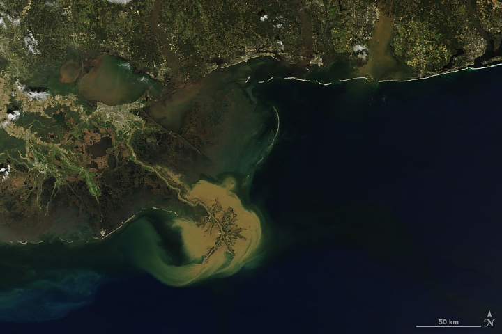 Sediment Plume off the Louisiana Coast - related image preview